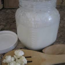 learn to make homemade milk kefir a