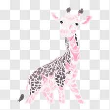 Giraffe Wall Decal Pink Spots Png