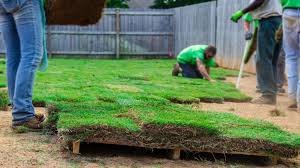 How To Care For New Sod Sod