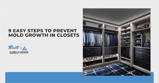 prevent mold growth in closets