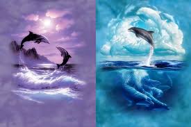 Dolphin Wallpapers For Mobile Group (40+)