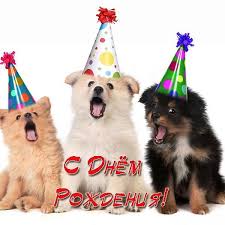 Открытки с Днем рождения с Собаками – Привет Пипл!