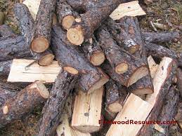 Ponderosa Pine Firewood Burn