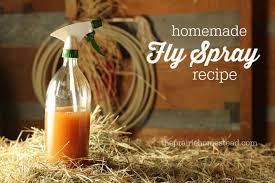 5 diy homemade fly sprays for horses