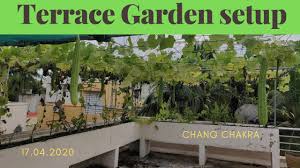 terrace garden setup chennai you