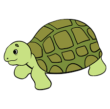 sea turtle really easy drawing tutorial