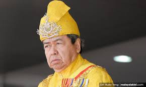 Baginda merupakan raja muda selangor dan merupakan pewaris takhta bagi kerajaan dan negeri selangor darul ehsan. Malaysiakini Selangor Sultan Deeply Concerned Over Malay Disunity