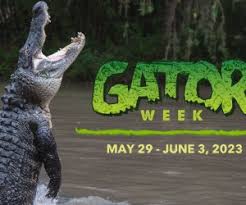 gator week at wild florida mommy