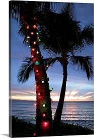 christmas lights on palm tree wall art