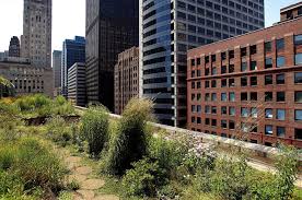 Green Rooftop Graces Chicago S City