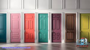 Door Painting Secrets Revealed Expert