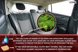 how to remove poison ivy from car seats