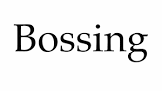 نتیجه جستجوی لغت [bossing] در گوگل