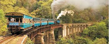 ooty tour packages from trichy