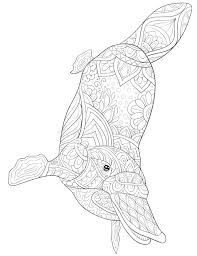 New users enjoy 60% off. Platypus Coloring Page Stock Illustrations 30 Platypus Coloring Page Stock Illustrations Vectors Clipart Dreamstime