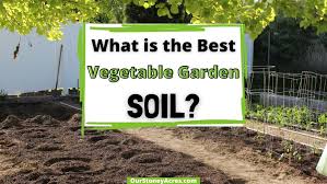 what is the best vegetable garden soil