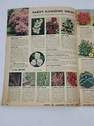 Nurseries Seed Bulb Flower Catalog