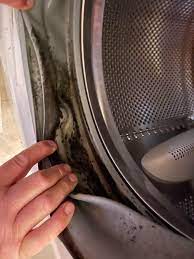 How do I clean all of this mold off of a washing machine gasket? :  r/CleaningTips