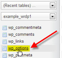 site url and home settings in wordpress