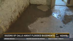 rain causes dozens of flooded basements