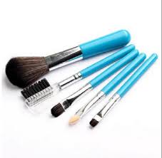 plastic 5 pc makeup brush set