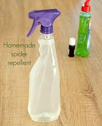 how to make a diy spider repellent at