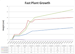 Wisconsin Fast Plants Fertilizer Experiment Fast Plant