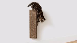 How To Stop A Cat From Scratching Walls