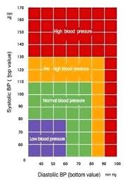 Blood Pressure And Heart Rate Lynnwoodgaragedoors Co