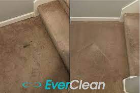 carpet cleaning gallatin tn