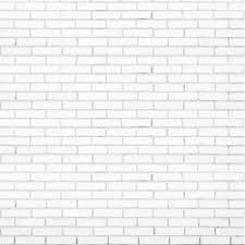 white wall tile texture brick vector