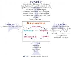 Critical Thinking Learning Models     of quality nursing care are described together with problems frequently  encountered in this stage of the nursing process  The role of critical  thinking    
