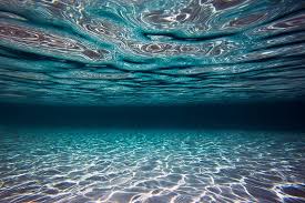Ocean Photography Underwater Photo Wall