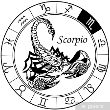 scorpion zodiac black white wall mural