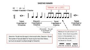 Shofar Insights Tisha Baav See The Sounds Excerpt Tet