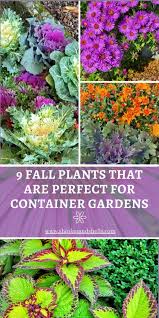 Fall Planters And Container Gardens