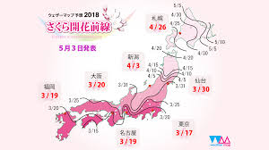 Japan Cherry Blossom Forecast 2018 Japan Travel Advice