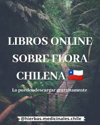 Impresos tradicional en español , gratis y en pdf. Libros Online En Pdf Aqui Hierbas Medicinales Chile Facebook