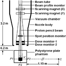 schematic diagram of the proton