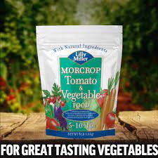 lilly miller morcrop tomato vegetable