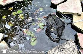 diy fish pond cleaning instructions