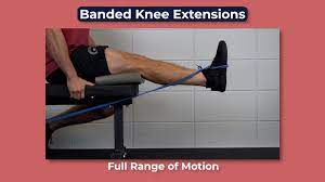 banded leg extensions e3 rehab