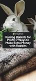 Is there money in rabbit meat?