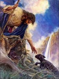 Camilo Rodríguez - Oveja negra de Jesús Soy la oveja negra. Soy la oveja  que Jesús rescata. Me salgo del rebaño. Me brinco las cercas. Me gusta  andar por trillos poco transitados.
