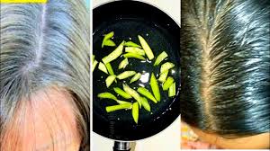 Your hair shouldn't be dyed in black. White Hair To Black Hair Naturally With Okra And Coconut Oil Permanently 100 White Hair Treatment Youtube