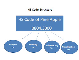 structure of hs code stan