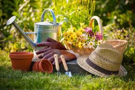 Gardening Tools Guide The Essential
