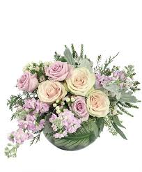 bashful bliss vase arrangement in miami