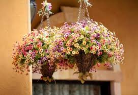 These metal trough planters are our favorite. Charming Hanging Baskets For Your Home Mcnamara Florist