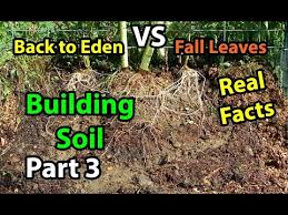Back To Eden Organic Gardening 101